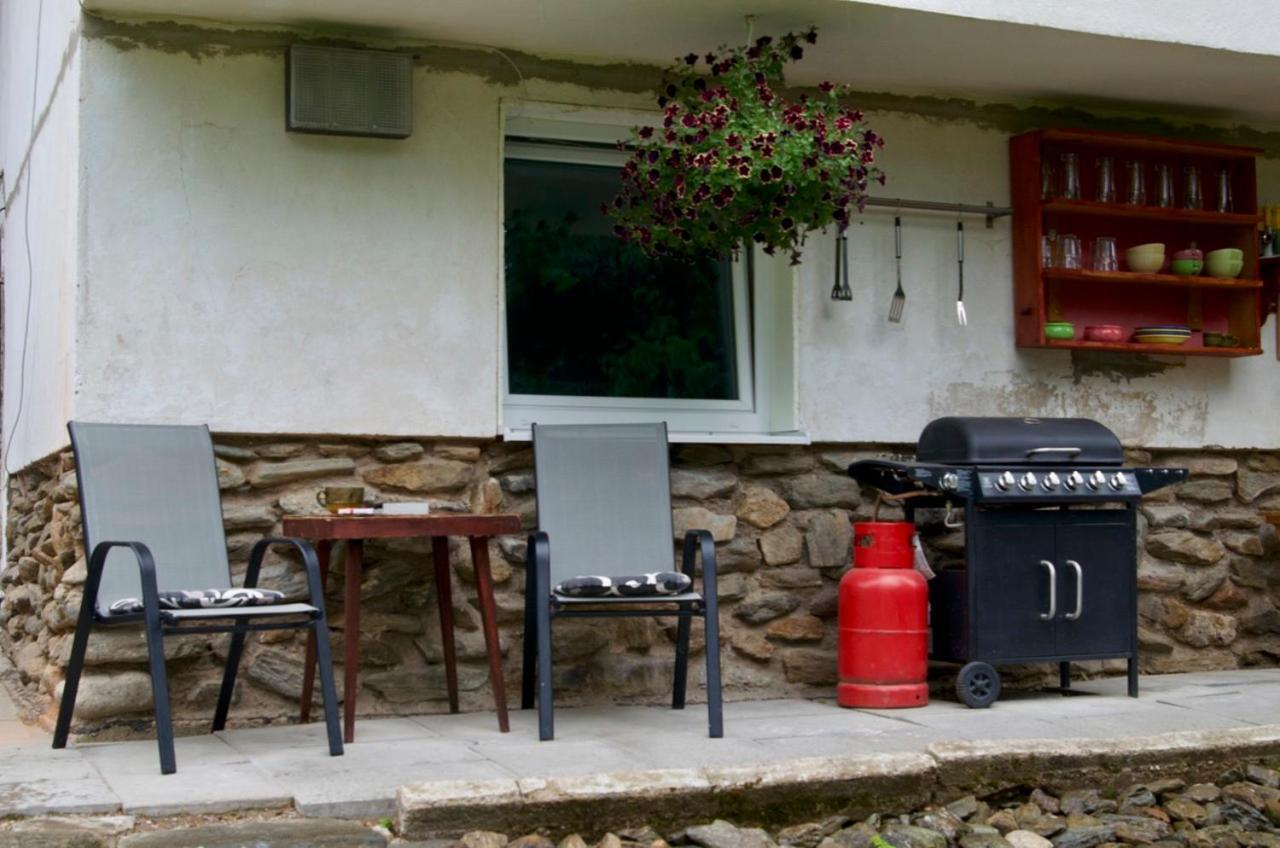 Pension Mala Plan Pec pod Snezkou Exterior photo